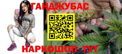 apvp Ярославль