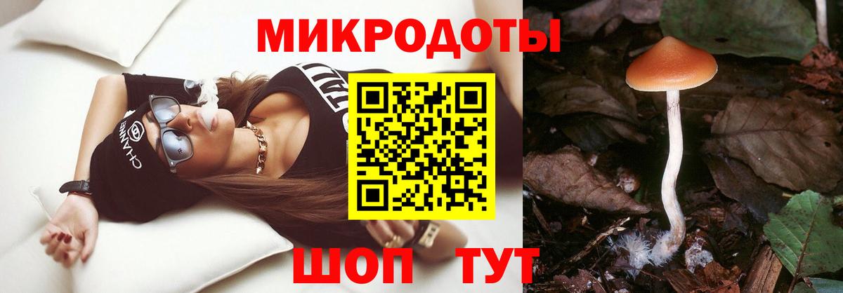 Будённовск  Псилоцибиновые грибы Cubensis  Вход с VPN 